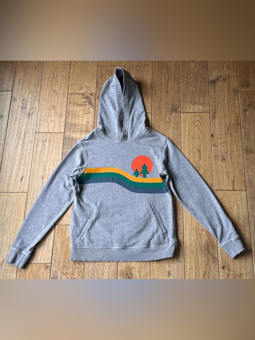Hanna Andersson Graphic Hoodie Sweatshirt size 10